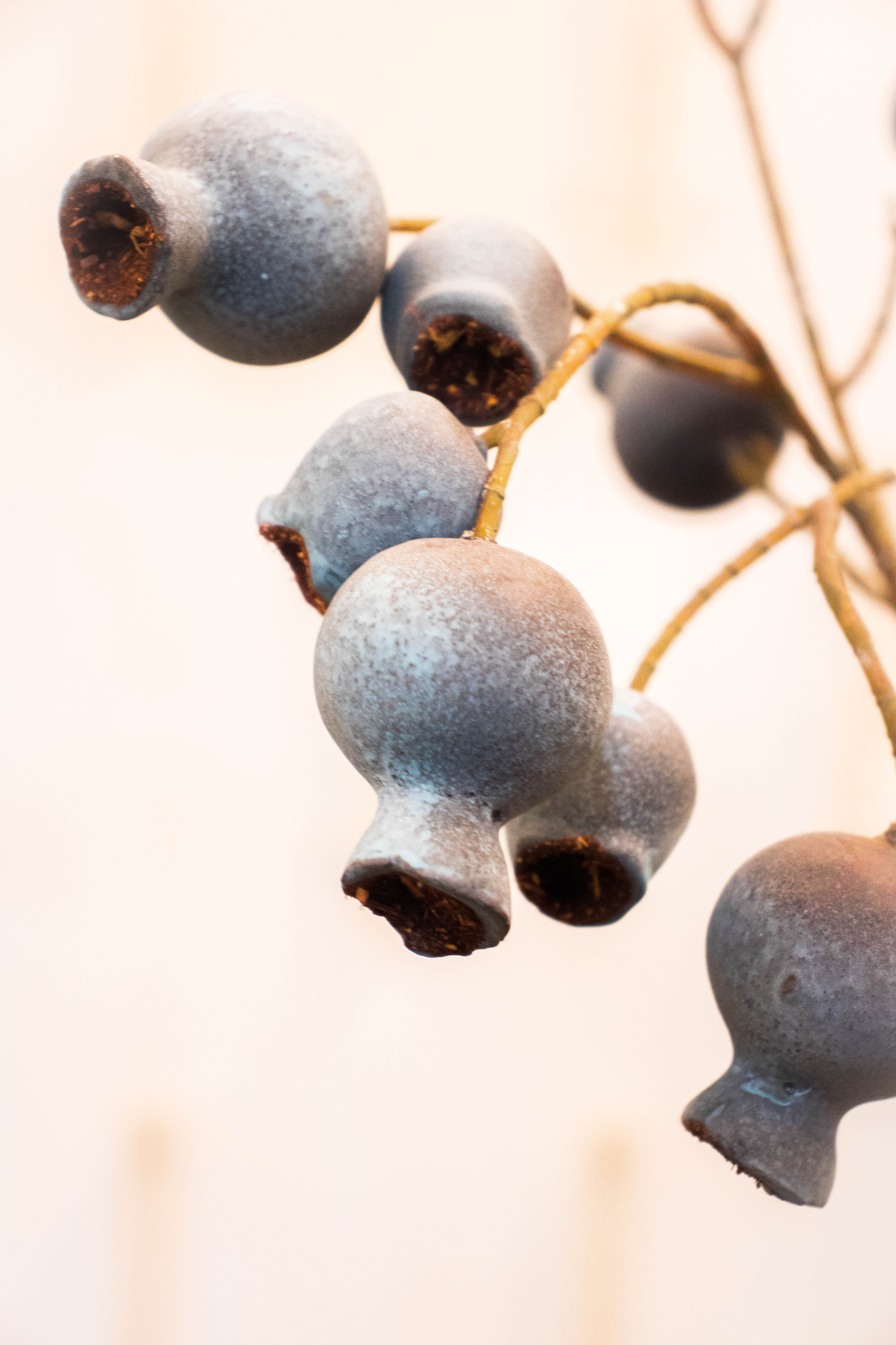 Eucalyptus Berry Spray 29"