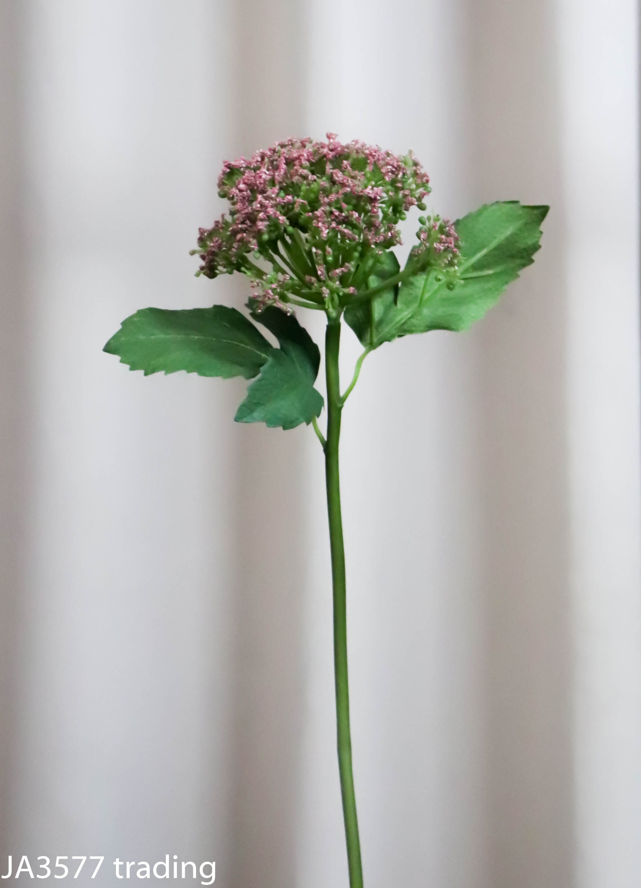 15" Appium Spray - bs0179015-pk