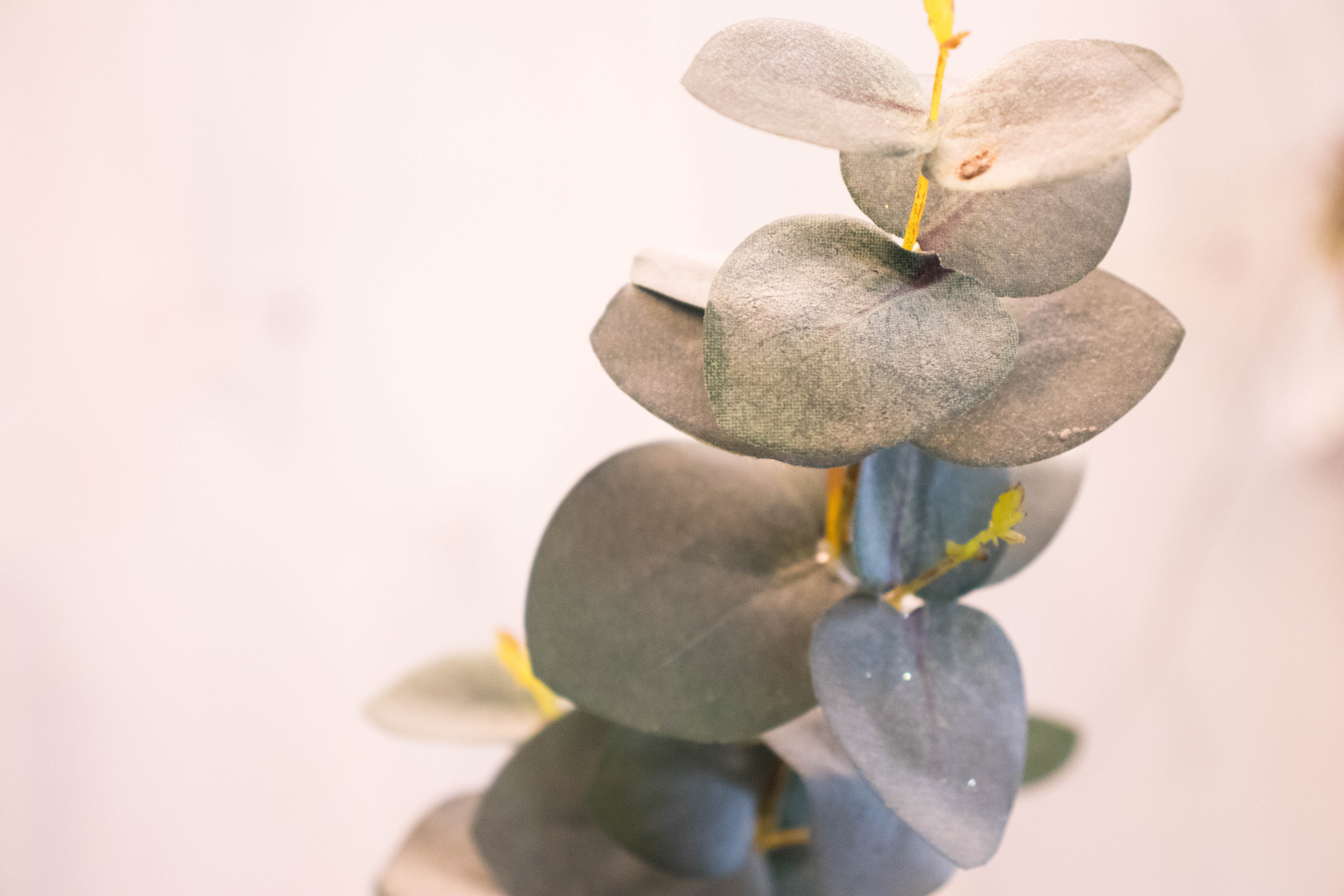 Eucalyptus Spray 29"