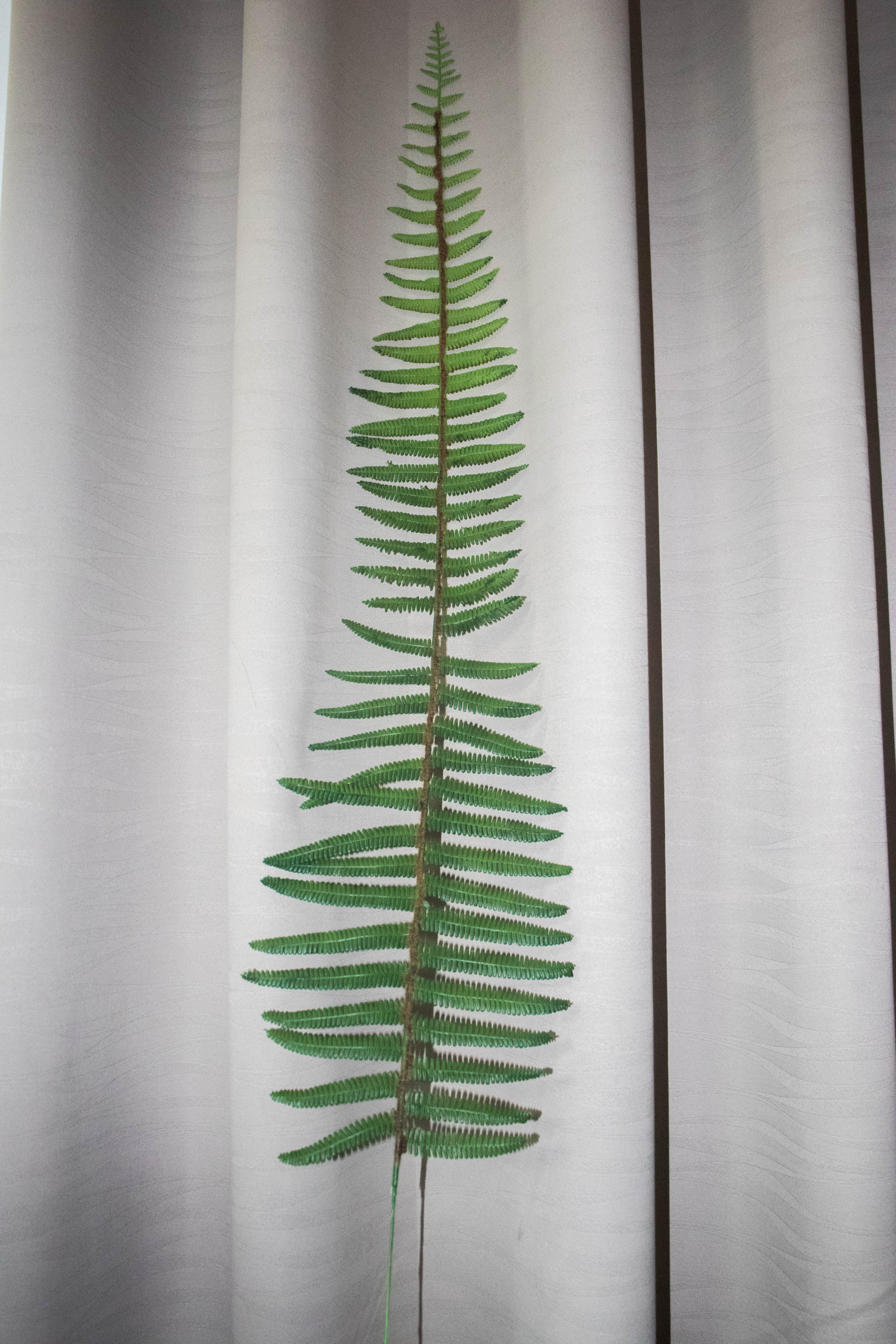 25.5" Fern Spray