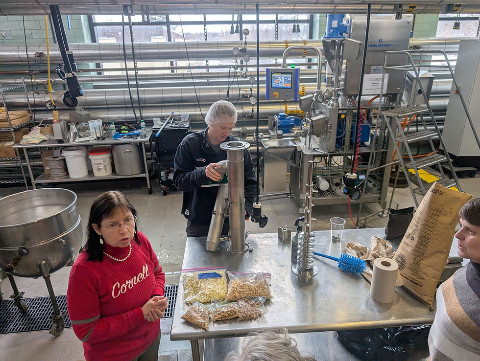 PXL_20260317_172349336