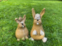 Garden Bunnies