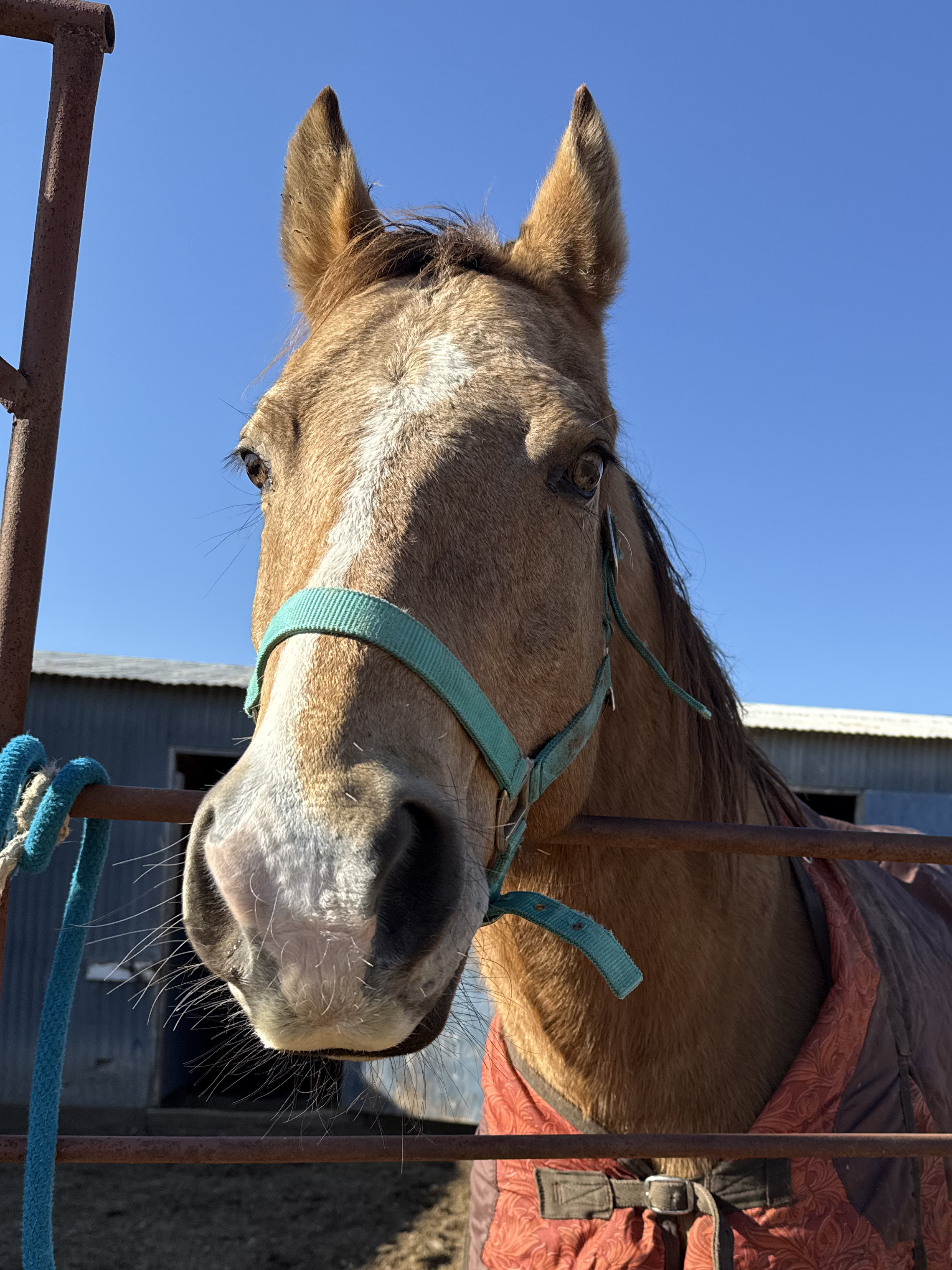 Writer: bearcreek78652