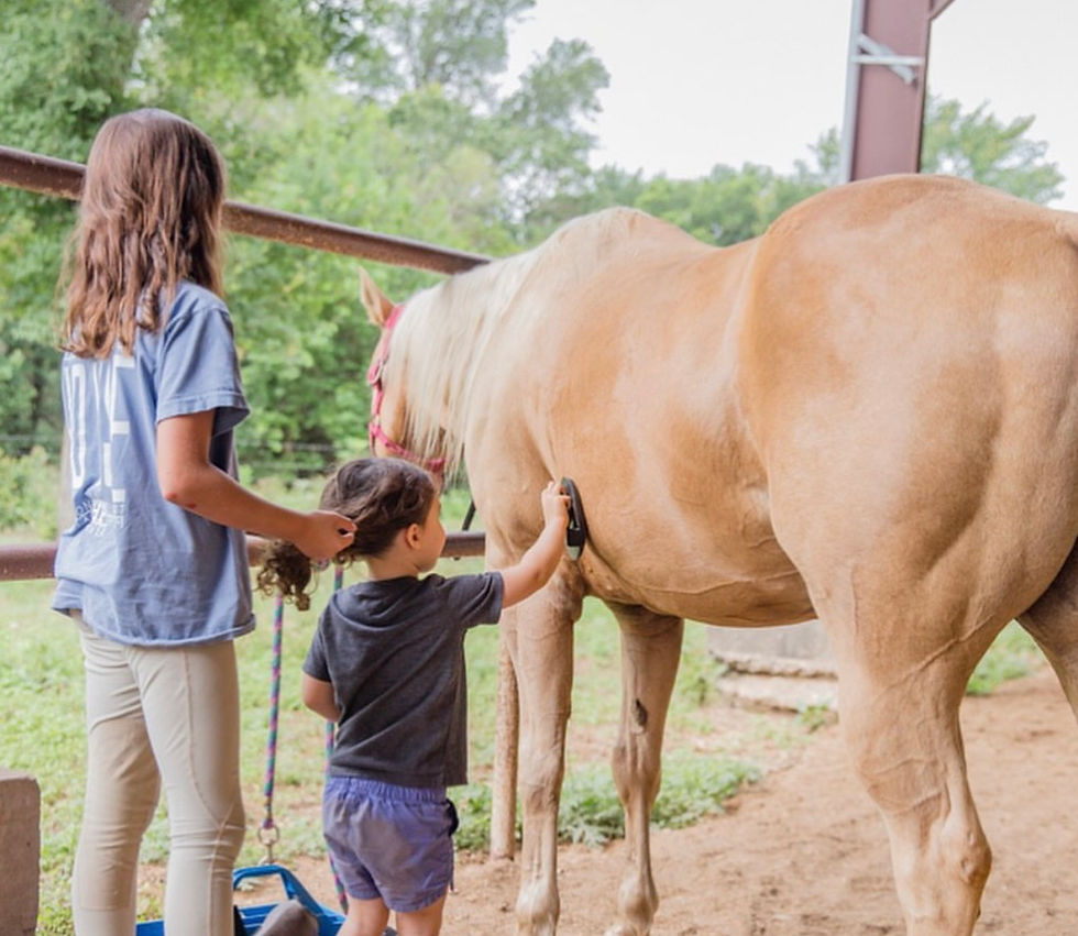 How to Book Riding Lessons Online at Our Barn