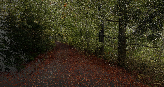 Woodland LiDAR point cloud used for structural mapping and survey analysis