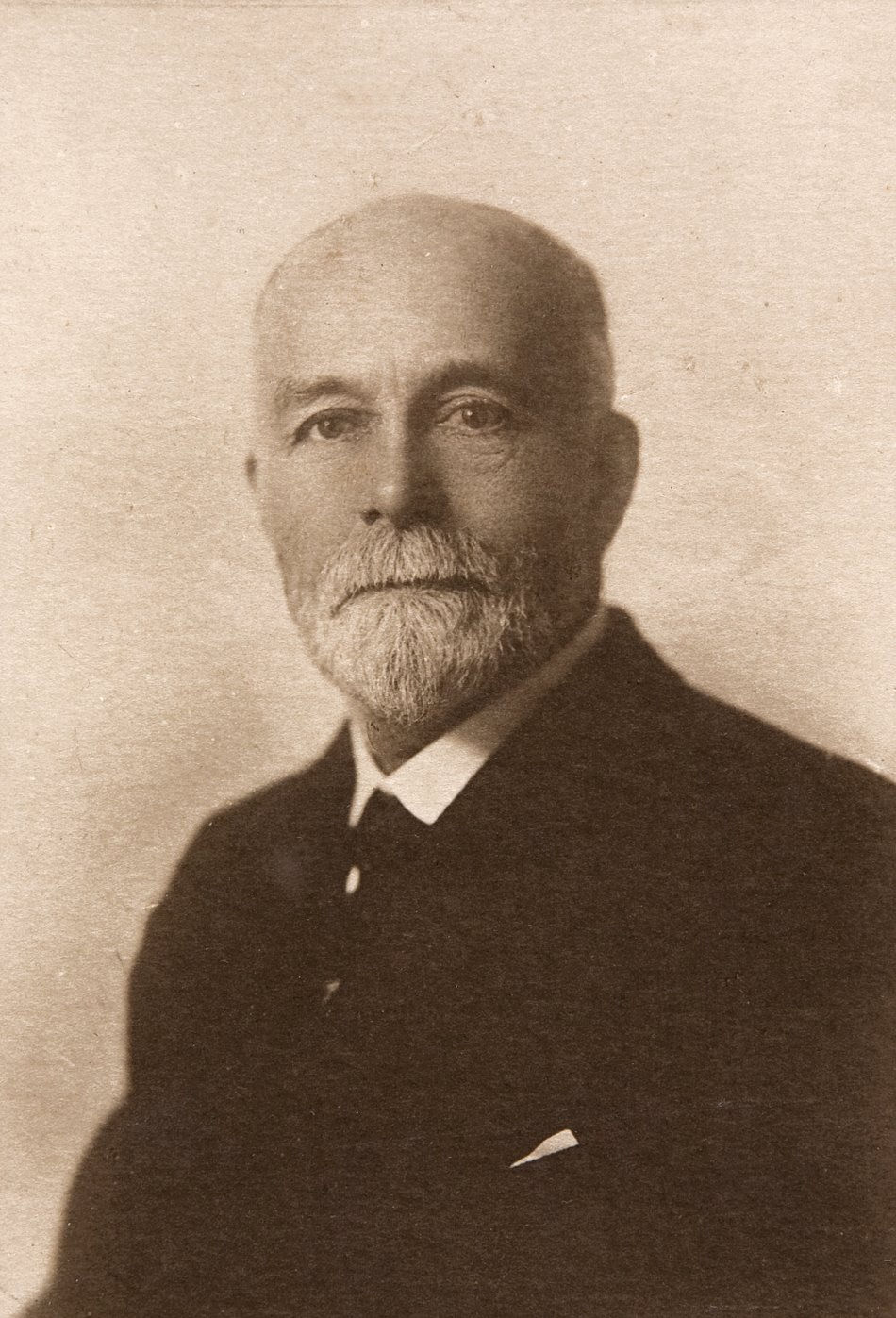 William Pearson - Tumbrel Diaries