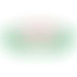 University of Algiers (Algeria)