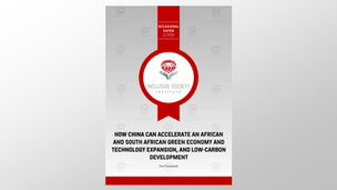 How China can accelerate an African and South African green economy and technology expansion, and low-carbon development 