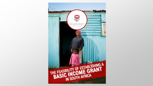 The feasibility of establishing a Basic Income Grant in South Africa