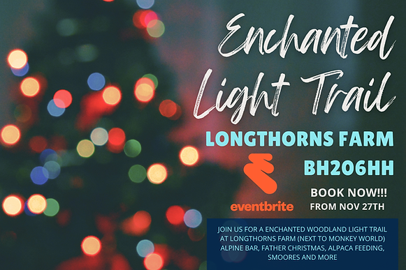 Blue White Elegant Photo Christmas Tree Lighting Ceremony Event Flyer (Label) - 1.png