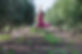 A picture of a dancer
