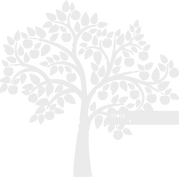 tree silhouette_edited_edited.png