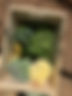 Small - feeds family of 4