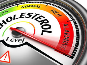 The Cholesterol Myth