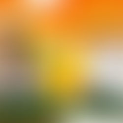 Checkmate Your Christmas Break