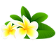 Logo Flower Edinburgh-Thai-Massage.png