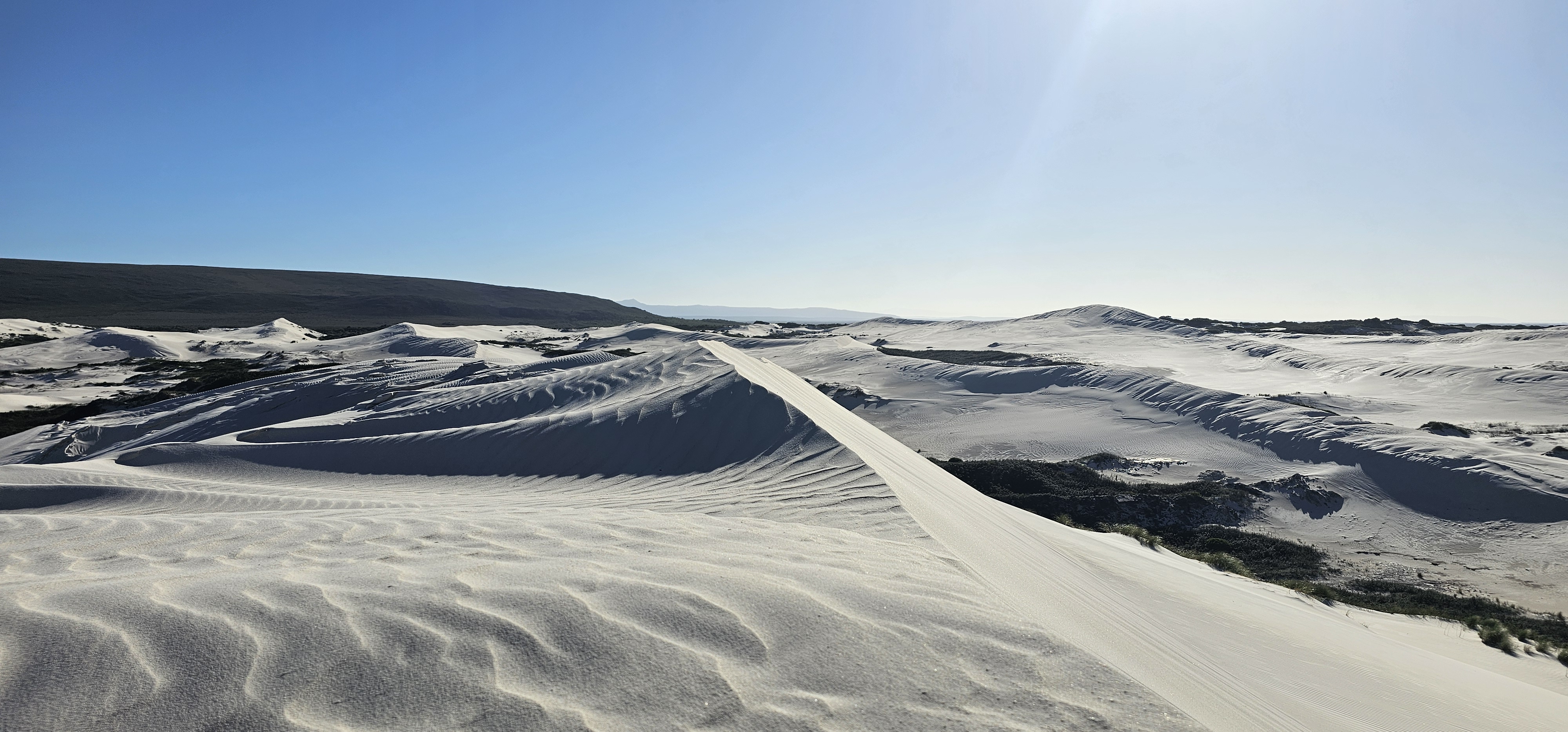 Rare Agulhas hummock-blowout dune fields with ancient Holocene-era archaeological significance