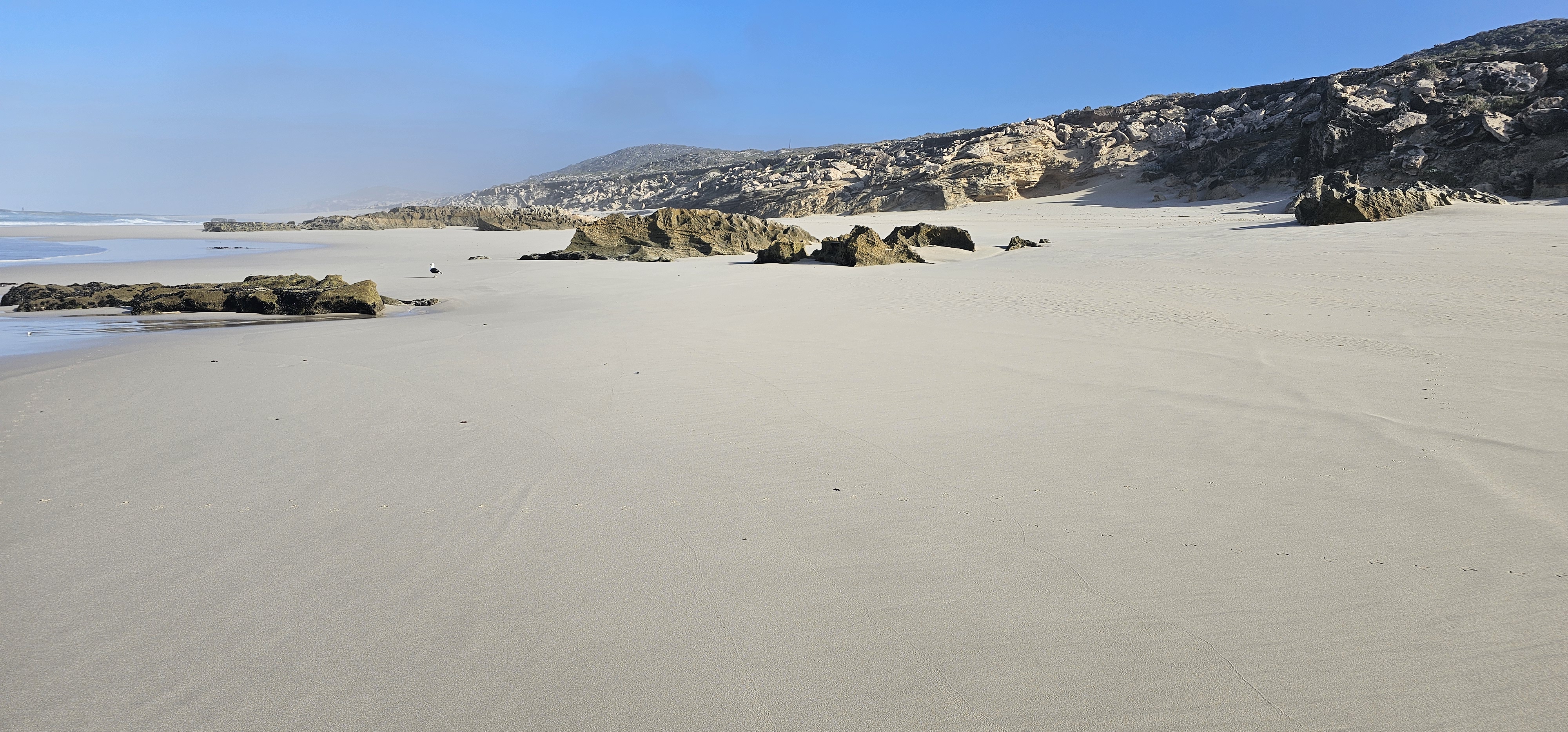 Rocky shores and intertidal zones along the southern Cape coastline