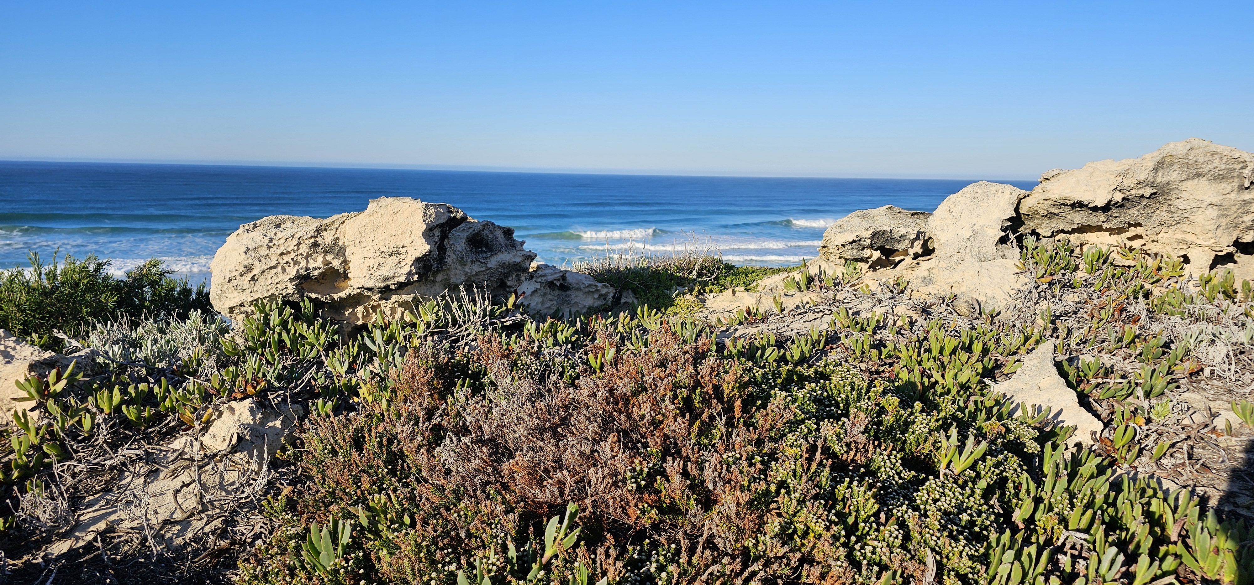 Lush indigenous vegetation and natural springs along the Cape Agulhas coastline