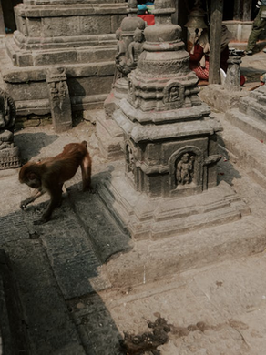 Temple Towns: Architecture as a Form of Pilgrimage