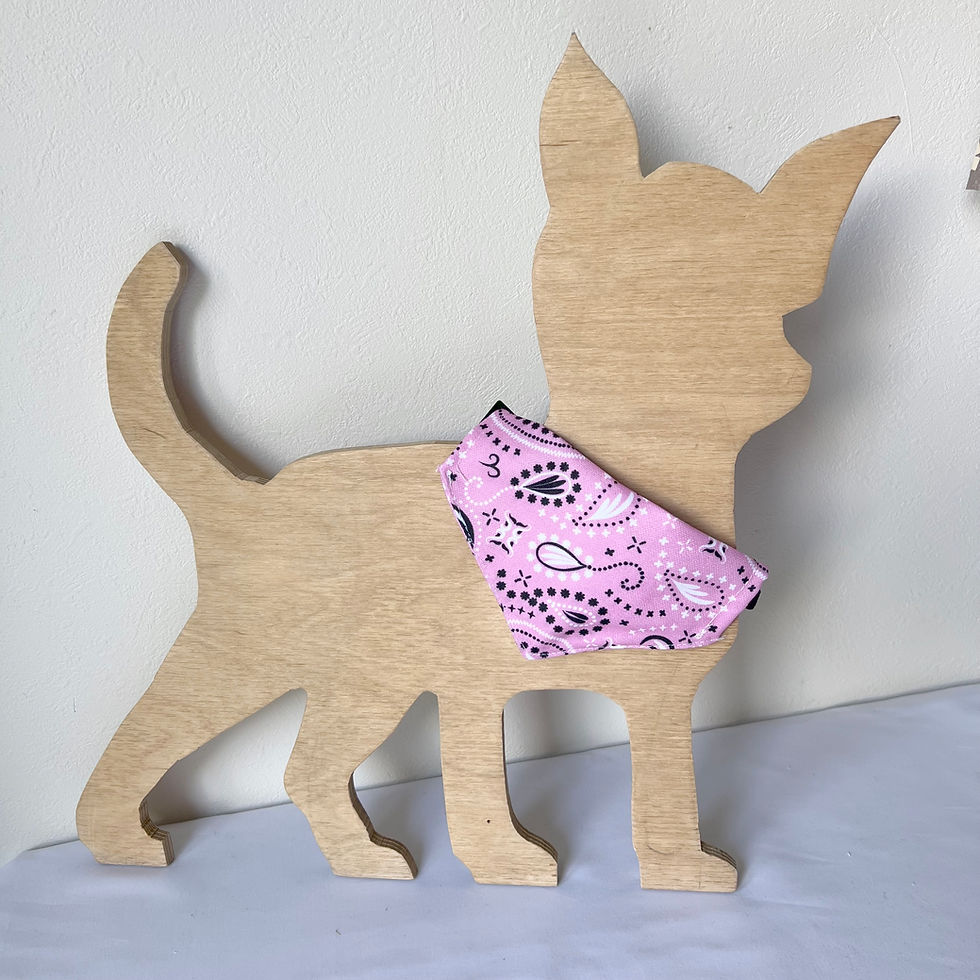 Thumbnail: Bandana for Small Pet