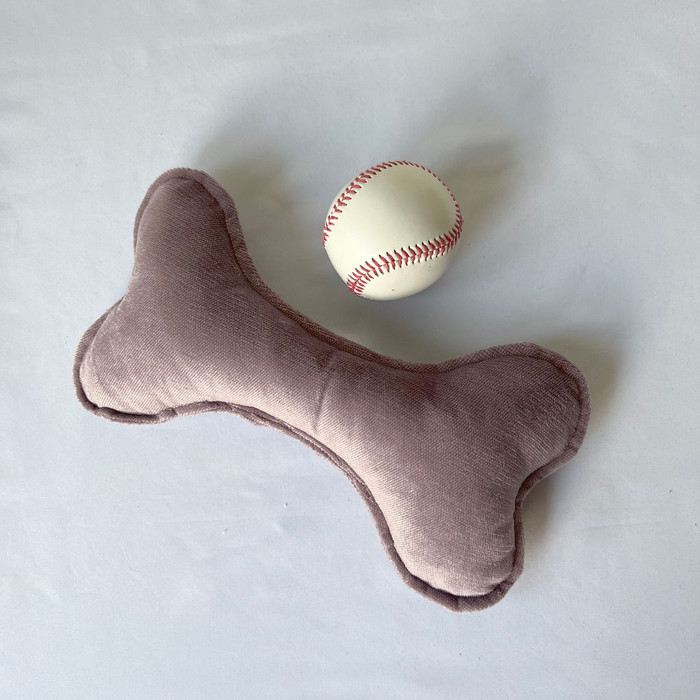 Thumbnail: Soft Bone Toy for Dog. Makes Rattle Sound!