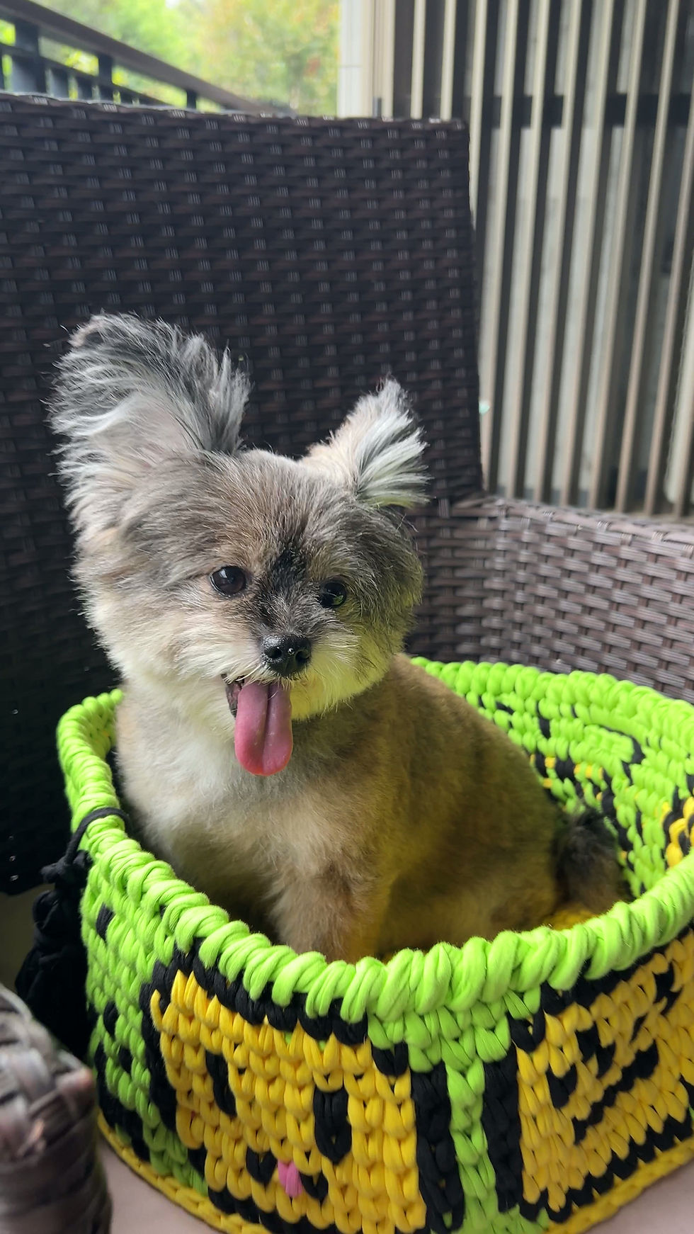 Thumbnail: Emoji pet bed