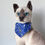 Thumbnail: Bandana for small pet
