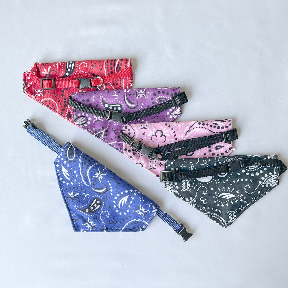 Thumbnail: Bandana for Small Pet