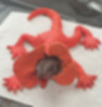 Vacances d'hiver -2ème semaine