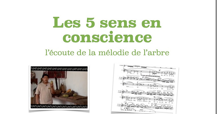 Les 5 sens en conscience.jpg