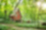 Hexenhäuschen im Wald.jpg
