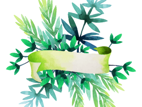 De verde se ve más bonito