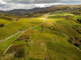 RPG-Teilrevision: Vorrang der Landwirtschaft und Umgang mit Immissionen im ländlichen Raum
