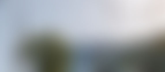 Standing Out in Hospitality: Why Atmosphere Matters as Much as the Menu