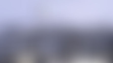 Marketing in a driver seat during the economic recovery