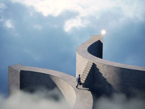 Organizations that perform and those that transform