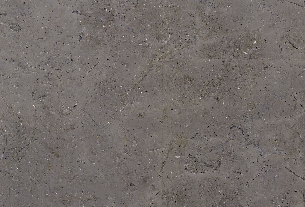 Miniatura: Melly Grey Fossils - Grey Marble - Marble Egypt