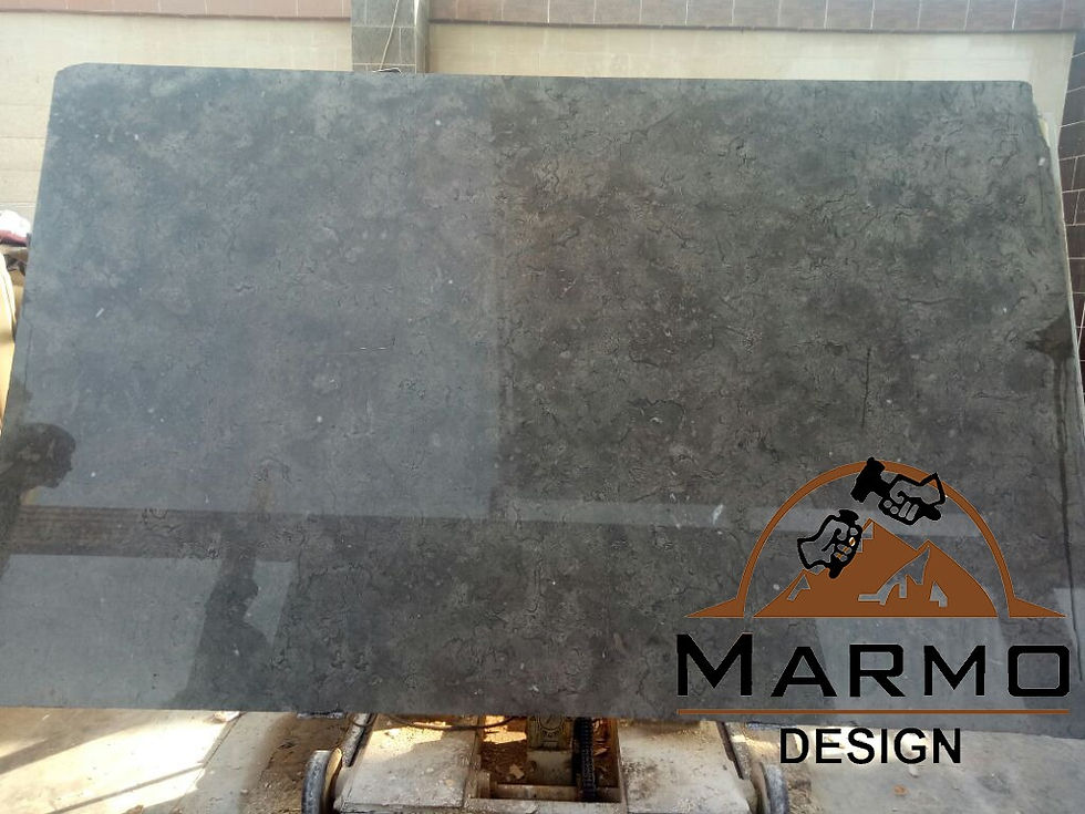 Melly Grey Fossils - Grey Marble - Marble Egypt