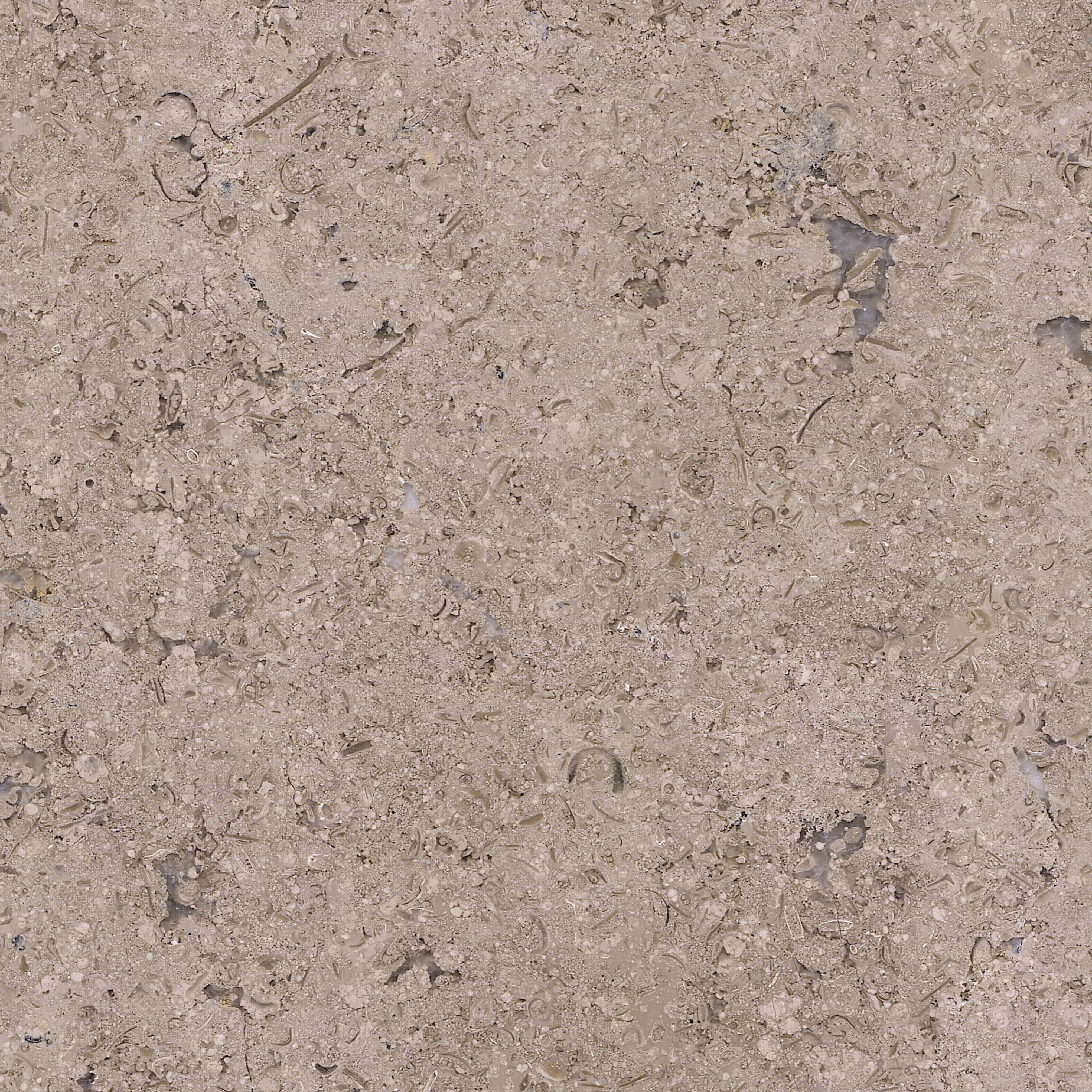 Sinai Pearl - Triesta Marble