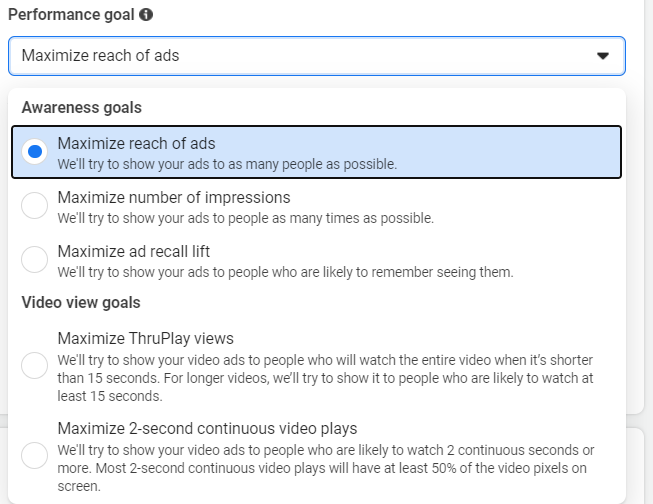 Performance Goals for Awareness Campaign Objective