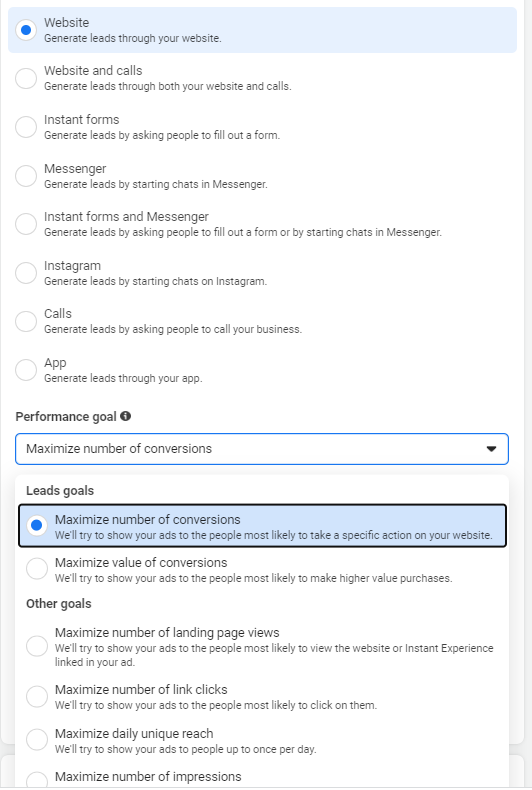 Performance Goals for Leads Campaign Objective