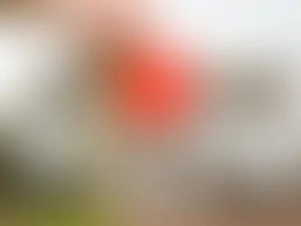 An Initial Guide To Mortgage Conveyancing