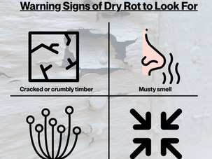 Dry Rot Risks, Signs and Survey Solutions Explained