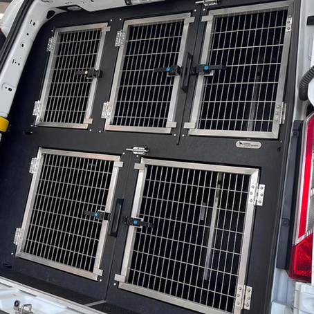 Dog Transit Boxes: Choosing the Right Setup for You