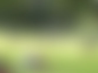 Some common misconceptions & myths