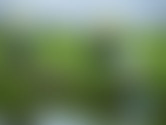 Hazards That May Arise If Waste Isn’t Cleared Promptly