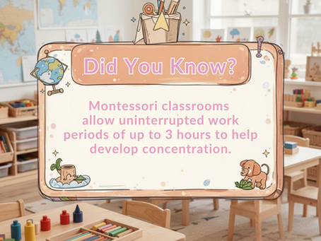Montessori Daycare vs. Traditional Daycare: What’s the Difference?
