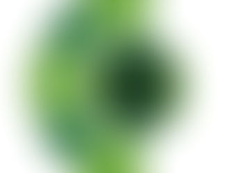 How to Choose the Right Insulation Contractor for Your Project