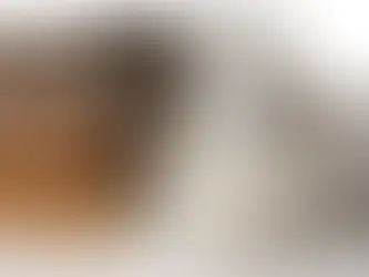 Shredding Old Bills, Statements, and Personal Records: A Step-by-Step Guide